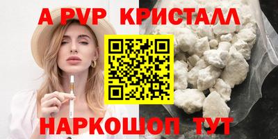 гидра Новозыбков