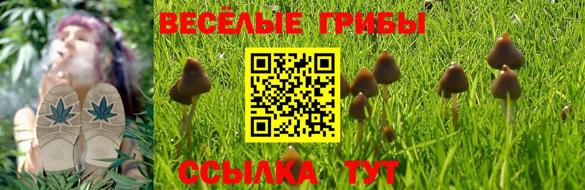 Галлюциногенные грибы мицелий  Вход с VPN  Сланцы 
